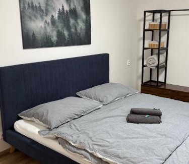 Abertamy Apartment | Apartman 7 Plesivec