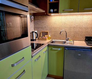Pozarevac Apartment | Apartman 77