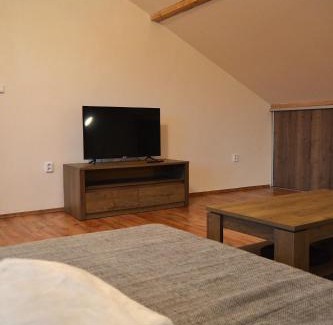 Janov nad Nisou Apartment | Apartman Aya