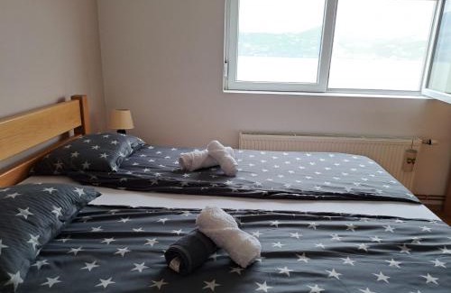 Donji Milanovac Apartment | Apartman Bošković