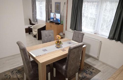 Niska Banja Apartment | Apartman Branka