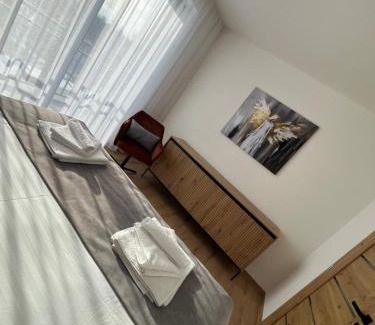 Oravske Vesele Apartment | Apartman Brezovina A403