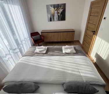 Oravske Vesele Apartment | Apartman Brezovina A403