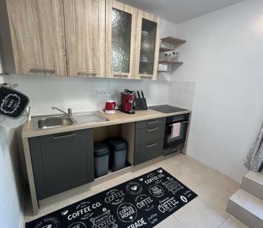 Siluvky Apartment | Apartman Collie
