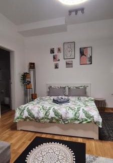 Novi Sad Apartment | Apartman Delena