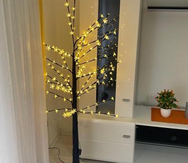 Loznica Apartment | Apartman Delux Gogica