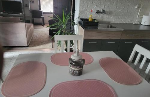 Pozarevac Apartment | Apartman Djokic 1