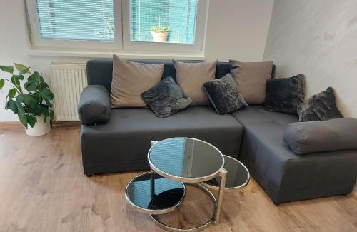 Teplicka nad Vahom Apartment | Apartman Ella