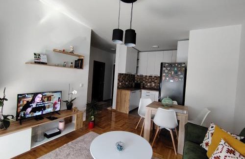 Pirot Apartment | Apartman Fenix