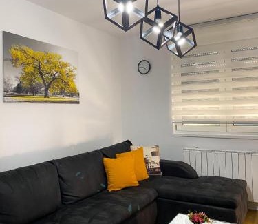 Zlatibor Apartment | Apartman Georgijev