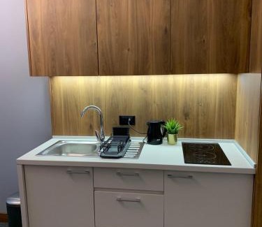 Kopaonik Apartment | Apartman Glečer Vila Bela Reka