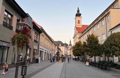 Trnava Apartment | Apartman Hviezdoslavova