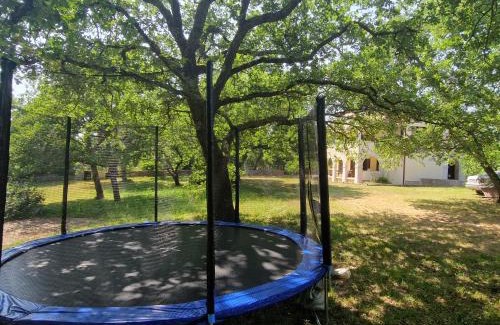 Kruncici Apartment | Apartman Jala