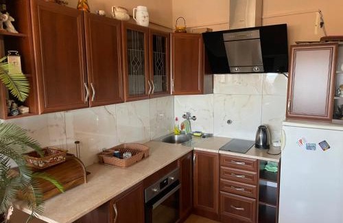 Paracin Apartment | Apartman Janković