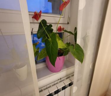 Zagreb Apartment | Apartman Jarun lake lux