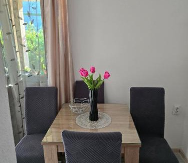Kolasin Municipality Apartment | Apartman Jelena