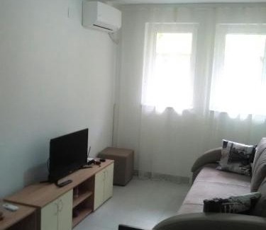 Vrujci Apartment | Apartman Jevtić 1