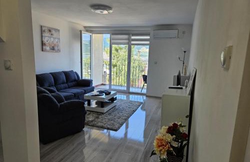 Donji Milanovac Apartment | Apartman Jovanovic
