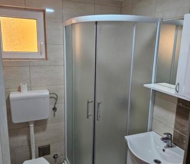 Gornja Toplica Apartment | Apartman Knežević Banja Vrujci