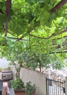 Senj Apartment | Apartman Legac