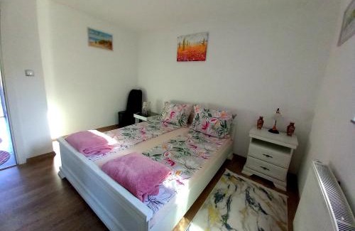Mali Radic Apartment | Apartman Leon