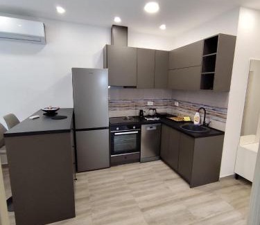 Topla Apartment | Apartman Lidija