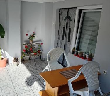 Bela Crkva Apartment | Apartman LJILJANA BELA CRKVA