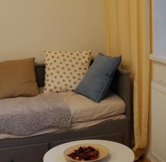 Horni Lipova Apartment | Apartman Masaryk