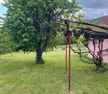 Mokra Gora Apartment | Apartman Matija, Mokra Gora