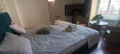 Brno-stred Apartment | Apartman na Pekarske