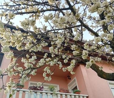 Krapina Apartment | Apartman NADA