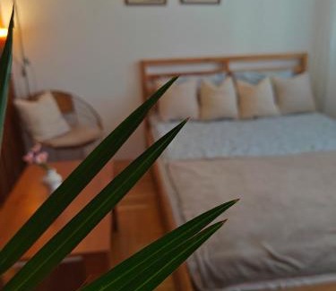 Pozarevac Apartment | Apartman Nest