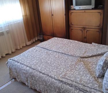 Bor Apartment | Apartman Nikolic
