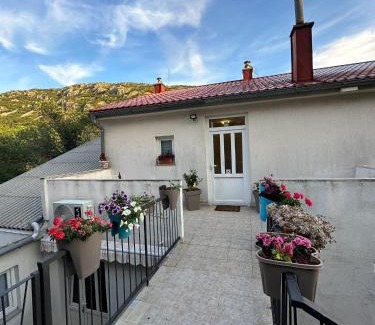 Veljun Primorski Apartment | Apartman Paulina 1