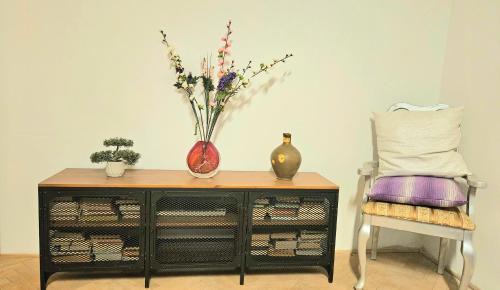 Trencin Apartment | Apartman RELAX