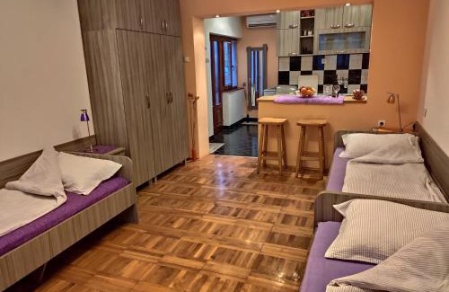 Niska Banja Apartment | Apartman Ristic