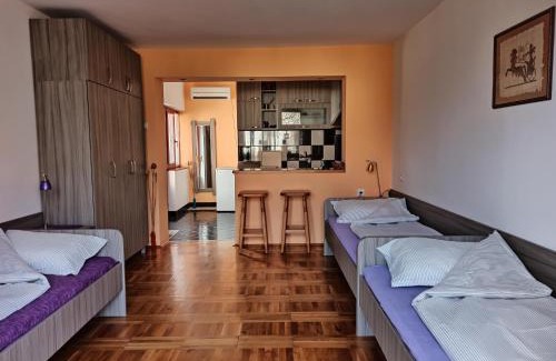 Niska Banja Apartment | Apartman Ristic