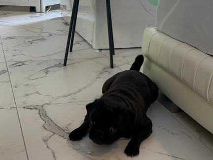 Palic Apartment | Apartman sa jakuzijem