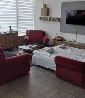 Donji Milanovac Apartment | Apartman SANI