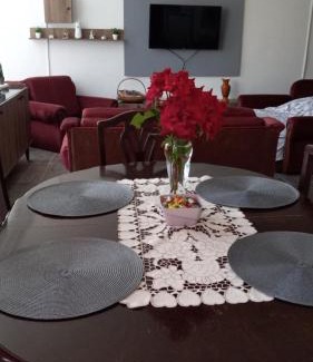 Donji Milanovac Apartment | Apartman SANI