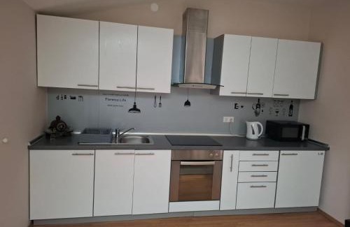 Zupanja Apartment | APARTMAN SOFIA