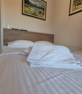 Zlatibor Apartment | Apartman Tamjanika LUX