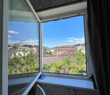 Decin Apartment | Apartman Theresa