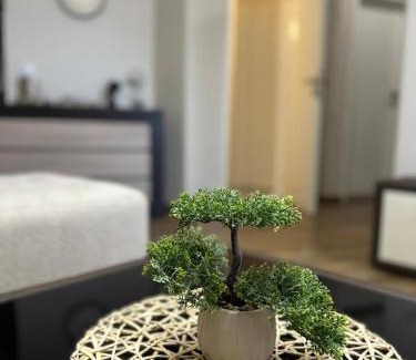 Leskovac Apartment | Apartman Una