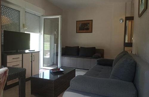 Gornja Toplica Apartment | Apartman Vrujci