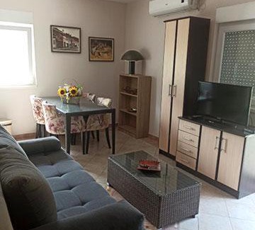 Gornja Toplica Apartment | Apartman Vrujci