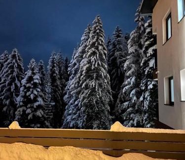 Pale Apartment | Apartmani Berg