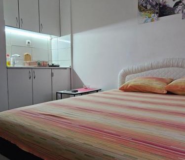 Loznica Apartment | Apartmani Borko 3-3