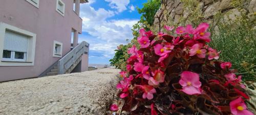 Rtina Apartment | Apartmani Cesar