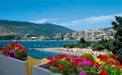 Trebesinj Apartment | Apartmani Igalo, Herceg Novi